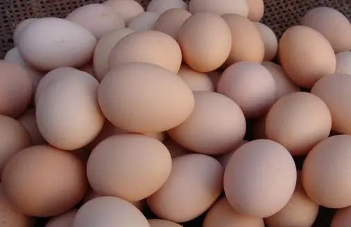 今日山东鸡蛋价格：2024.3.24山东鸡蛋行情报价