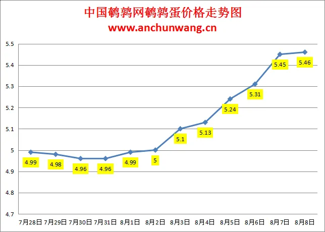 2024.8.8全国鹌鹑蛋价格：个别涨，均价5.46元