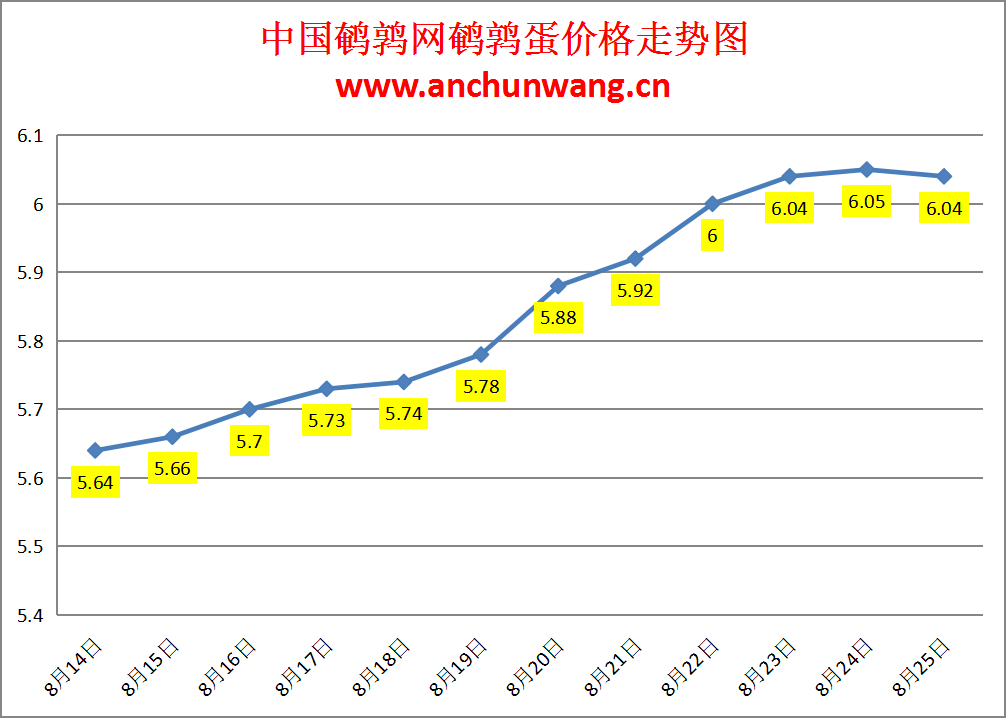 2024.8.25全国鹌鹑蛋价格：个别跌，均价6.04元