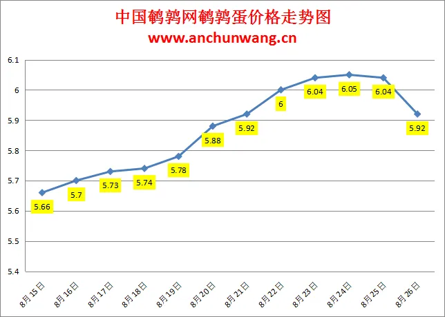 2024.8.26全国鹌鹑蛋价格：多地跌，均价5.92元