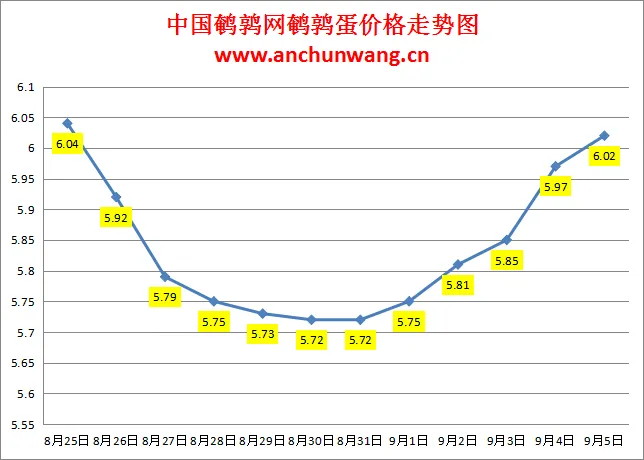 2024.9.5全国鹌鹑蛋价格：局部涨，均价6.02元