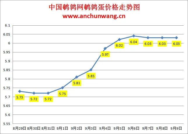 2024.9.9全国鹌鹑蛋价格：稳为主，均价6.03元