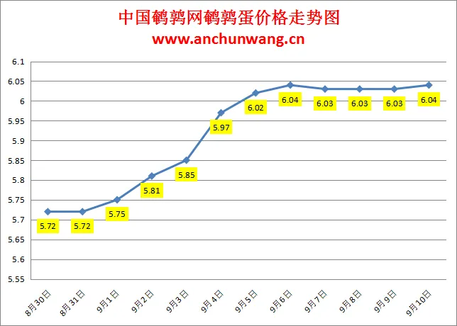 2024.9.10全国鹌鹑蛋价格：稳为主，均价6.04元