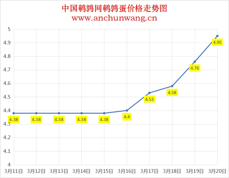 2025.3.20全国鹌鹑蛋价格：均价4.95元 继续涨