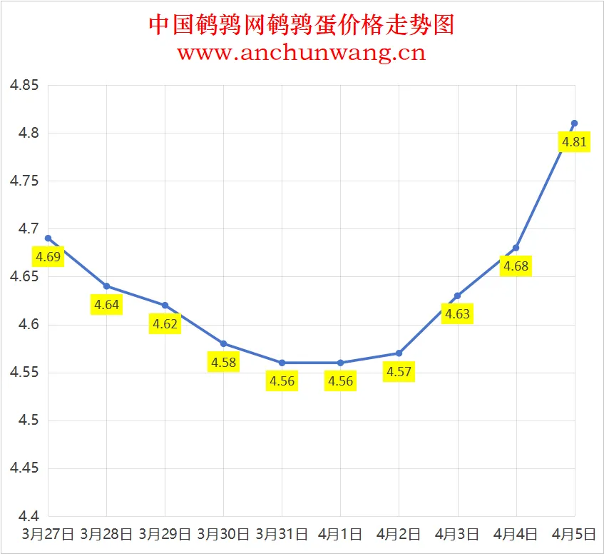 2025年4月5日全国鹌鹑蛋价格：均价4.81元 多地涨