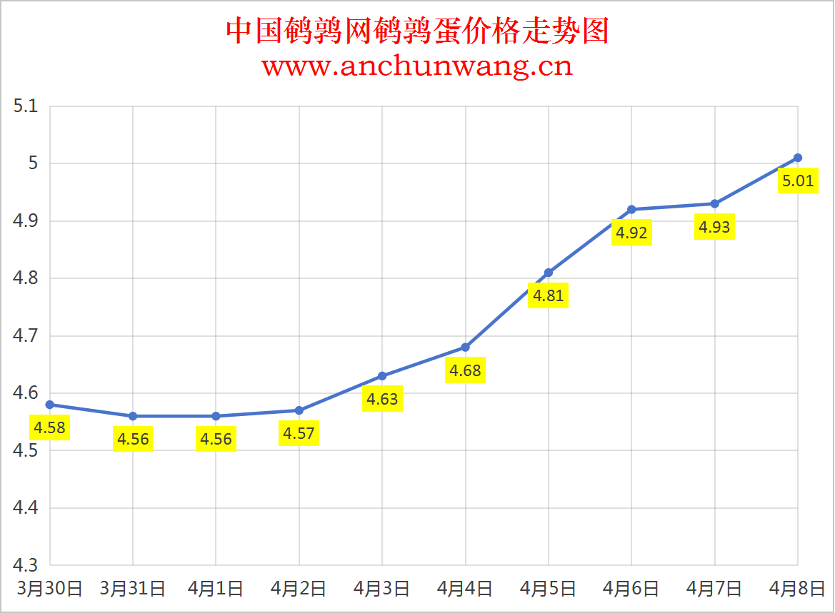 2025年4月8日全国鹌鹑蛋价格：均价5.01元 多地涨