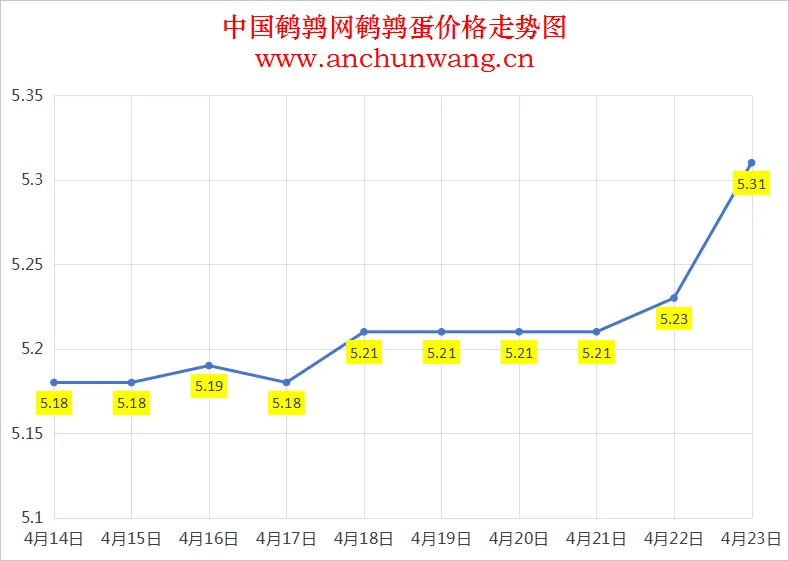 2025年4月23日全国鹌鹑蛋价格：均价5.31元 多地涨